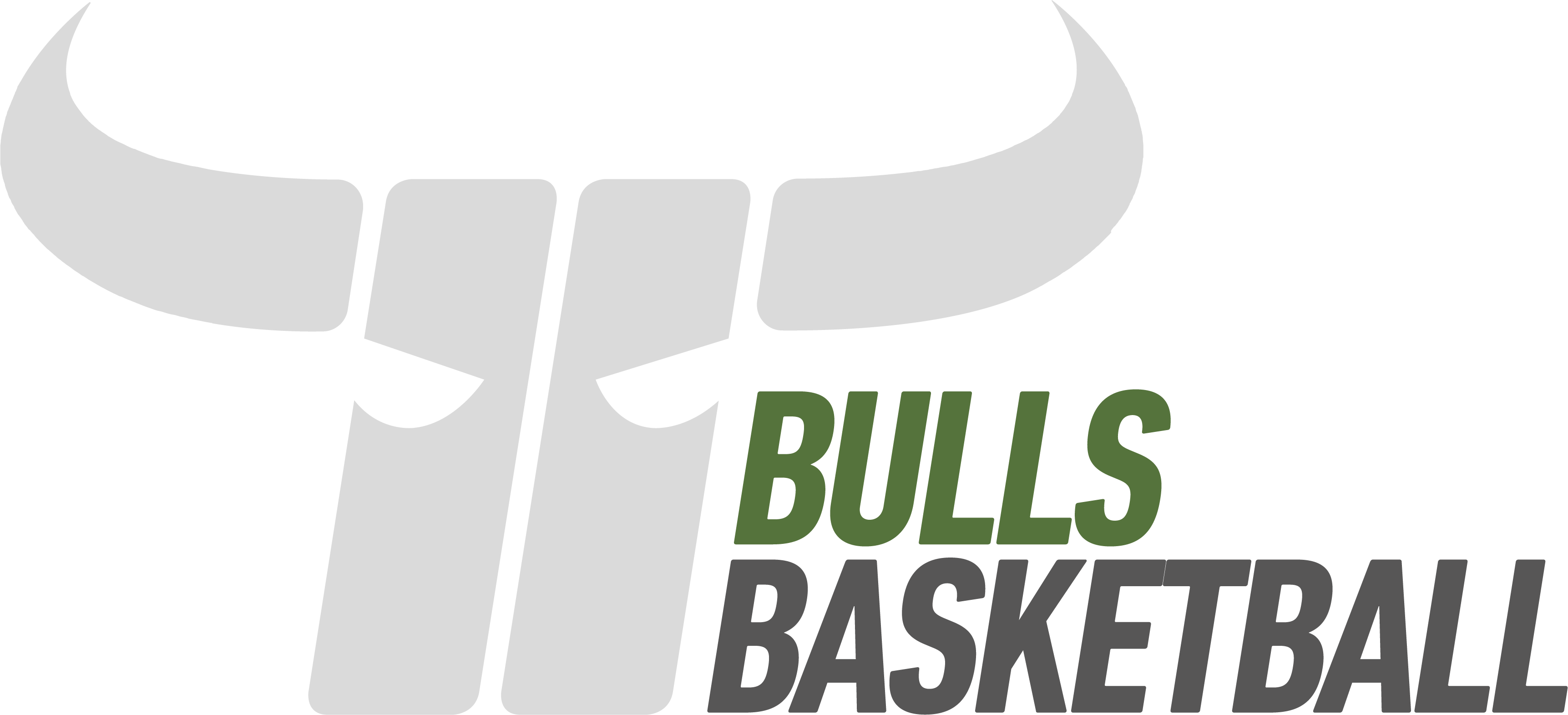 Kapfenberg Bulls